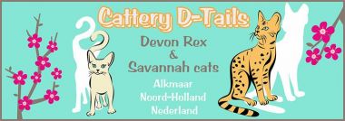 banner van cattery D-Tails