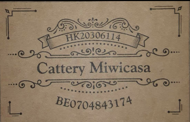 banner van cattery Miwicasa