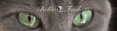 banner van cattery Belle Fael's