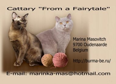 banner van cattery From a Fairytale