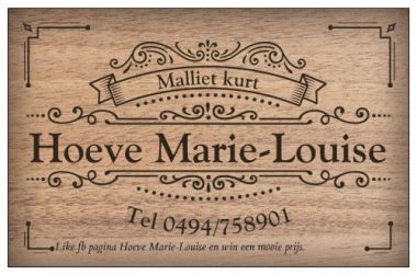 banner van cattery Britse Korthaar Hoeve Marie-Louise