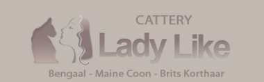 banner van cattery Lady Like