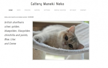banner van cattery de Maneki Neko