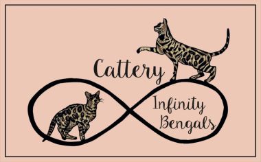 banner van cattery Infinity Bengals - Belgium