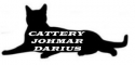 banner van cattery Johmar-Darius