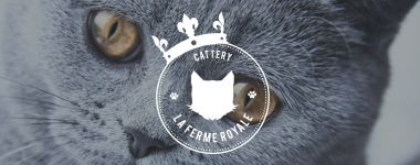 banner van cattery La Ferme Royale
