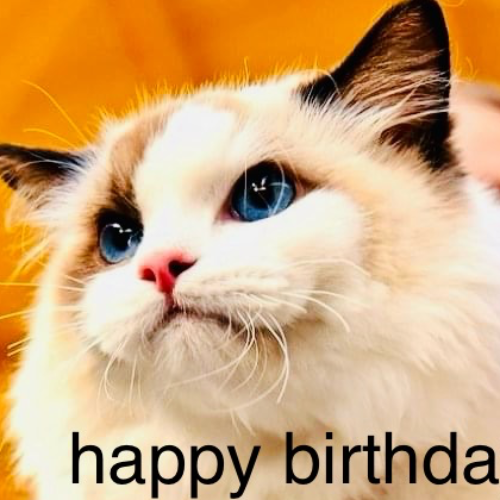 front.herplaats_image