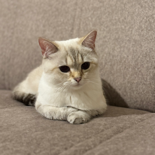 front.herplaats_image