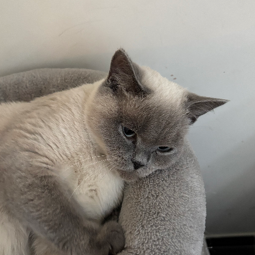 front.herplaats_image