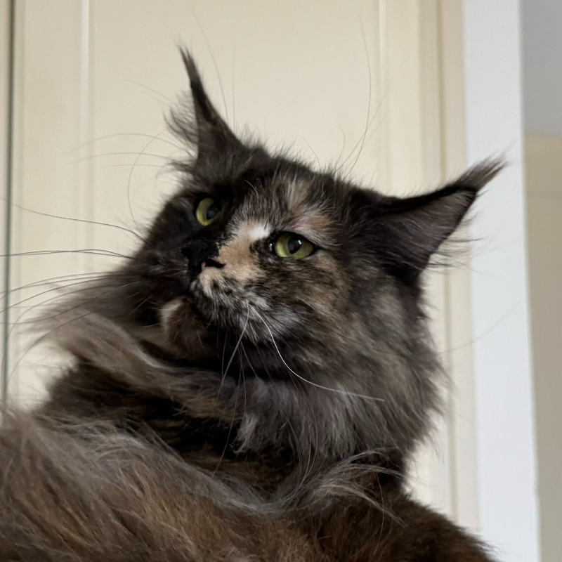 front.herplaats_image