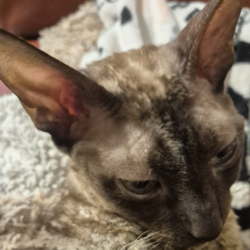 front.herplaats_image