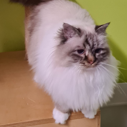 front.herplaats_image