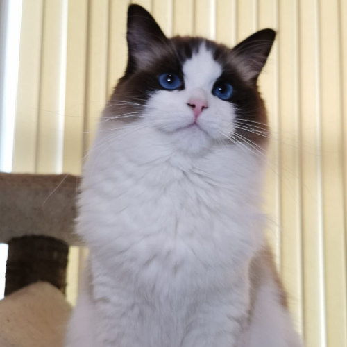 front.herplaats_image