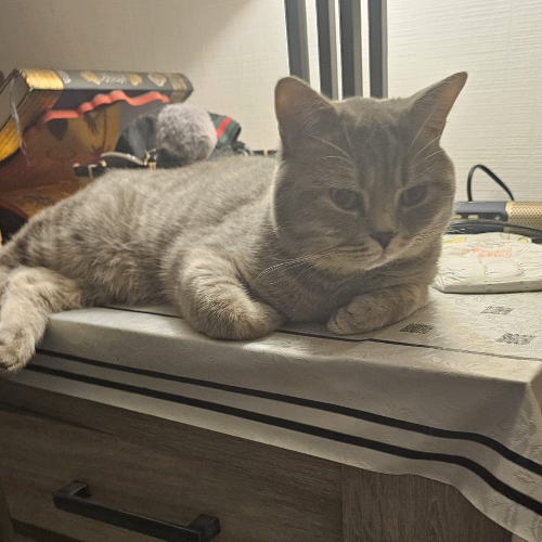 front.herplaats_image