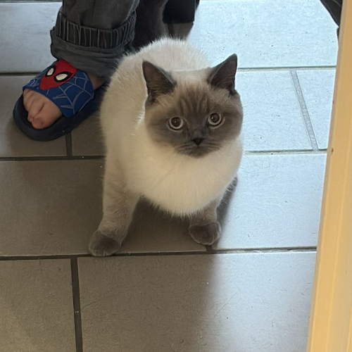 front.herplaats_image