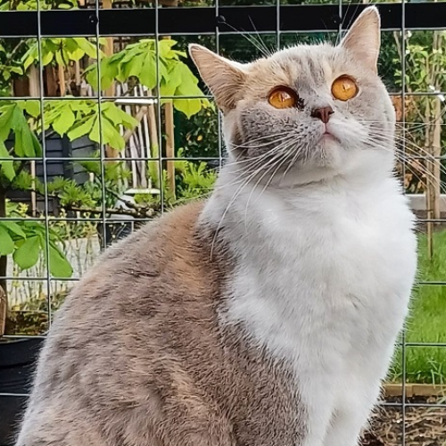 front.herplaats_image