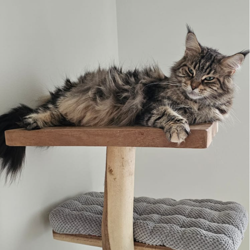 front.herplaats_image