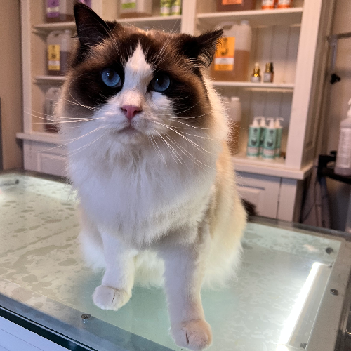 front.herplaats_image