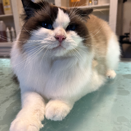 front.herplaats_image