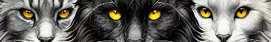 Cattery banner