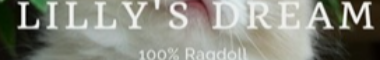Cattery banner