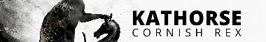 Cattery banner