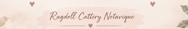 Cattery banner