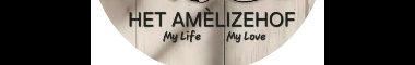 Cattery banner