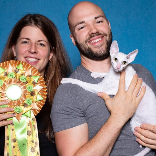 Foto van de poes