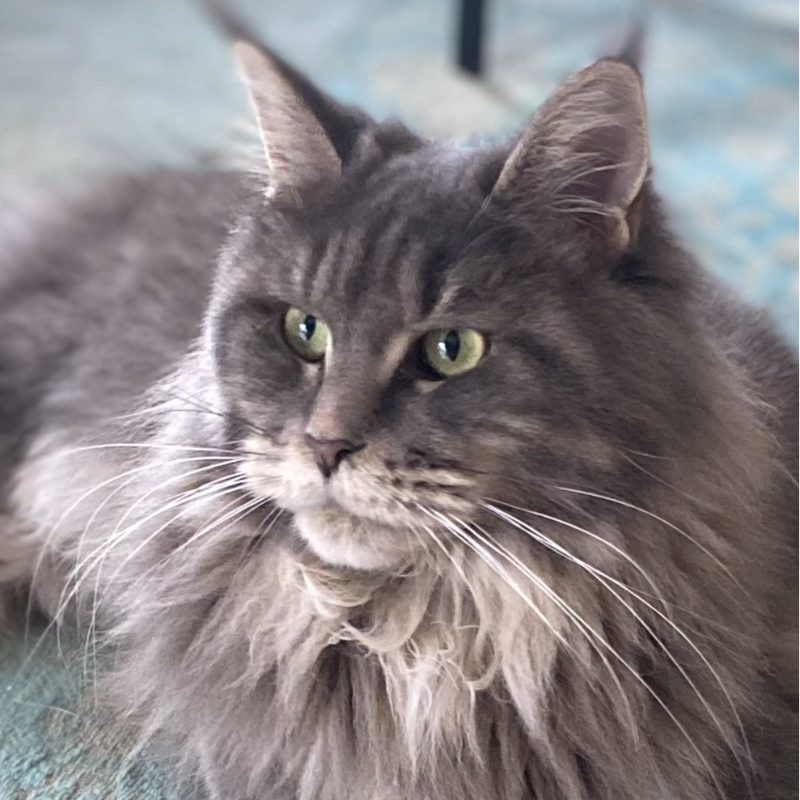 front.herplaats_image