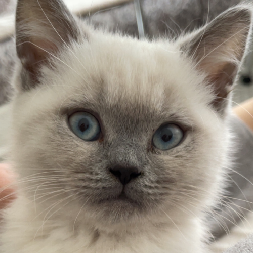 front.herplaats_image