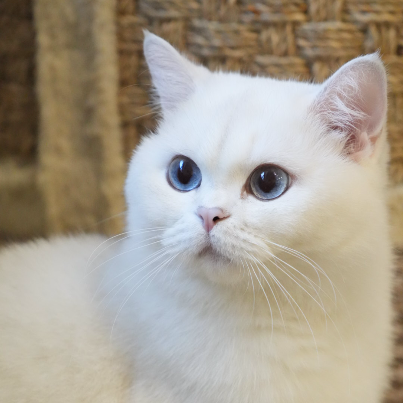 front.herplaats_image