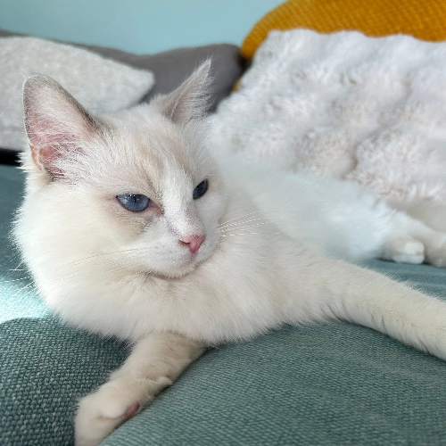 front.herplaats_image