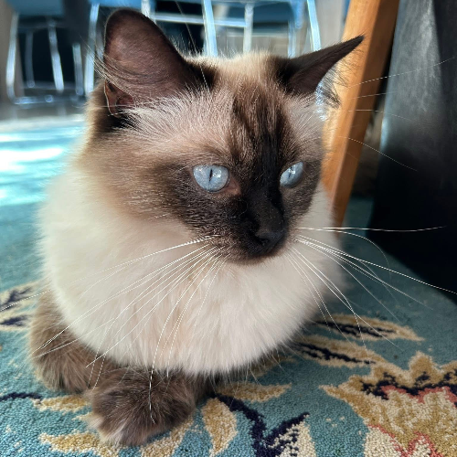 front.herplaats_image