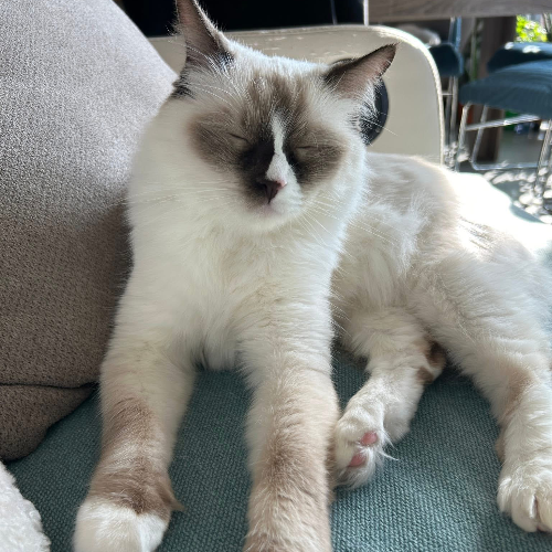 front.herplaats_image