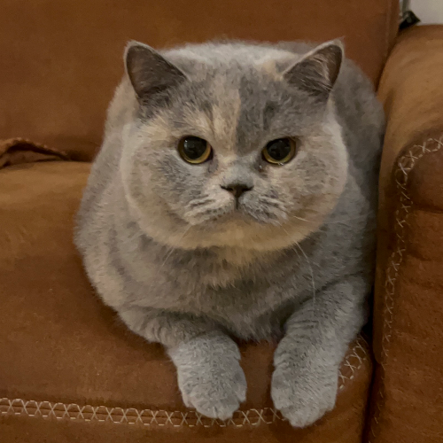 front.herplaats_image