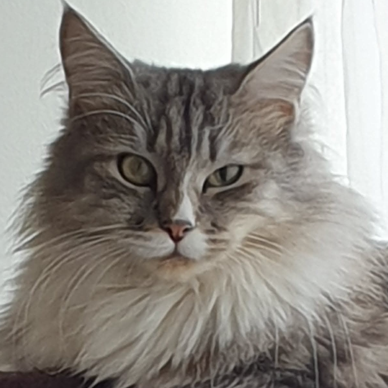 front.herplaats_image