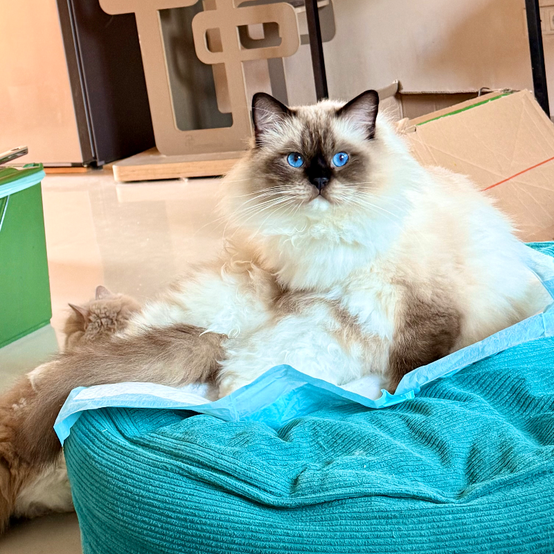 front.herplaats_image