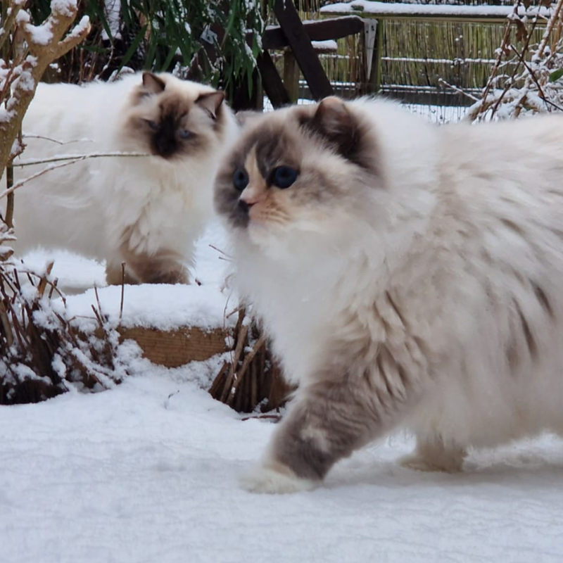 front.herplaats_image