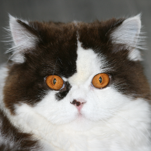 front.herplaats_image