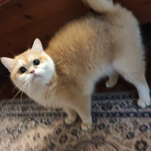 front.herplaats_image