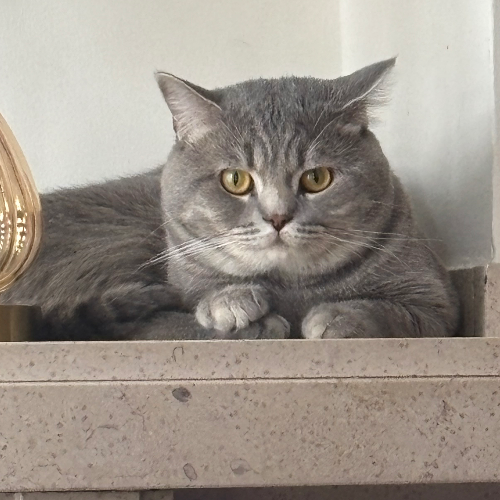 front.herplaats_image