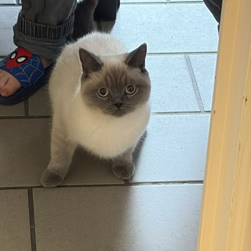 front.herplaats_image