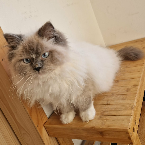 front.herplaats_image