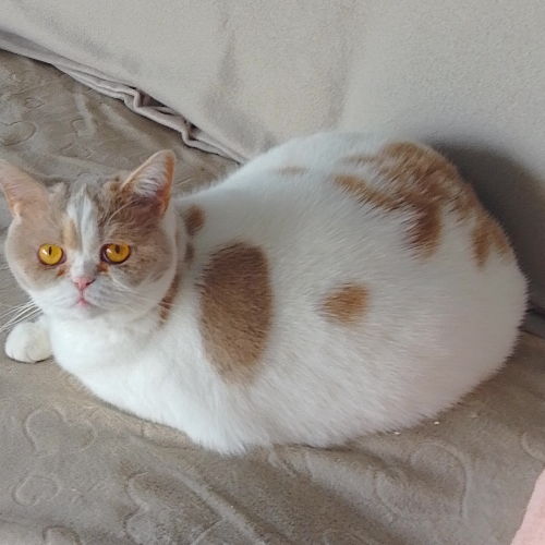 front.herplaats_image