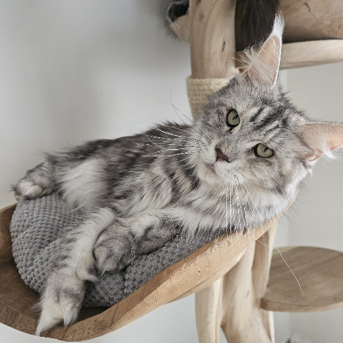 front.herplaats_image