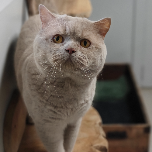 front.herplaats_image