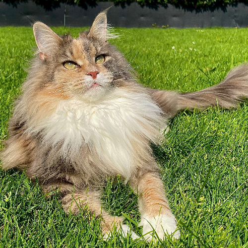 front.herplaats_image