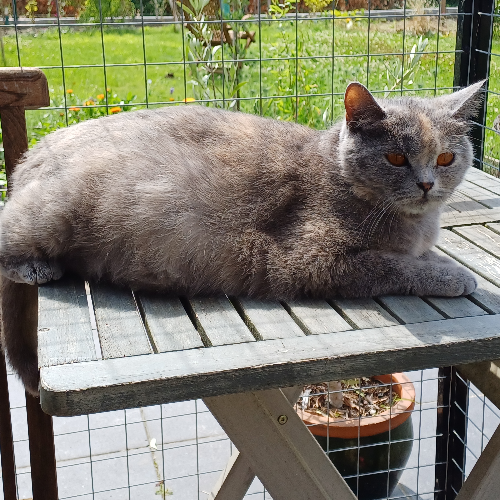 front.herplaats_image