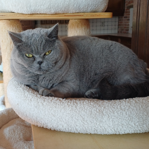 front.herplaats_image